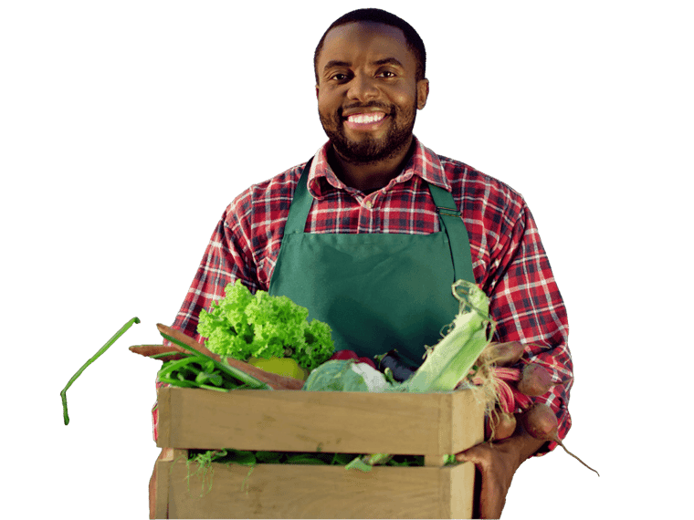 Agriculture translation services Portrait of the young African American happy and good looking male farmer standing in the green field