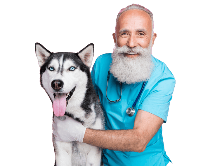 Veterinary translation services UK doctor posing with a dog