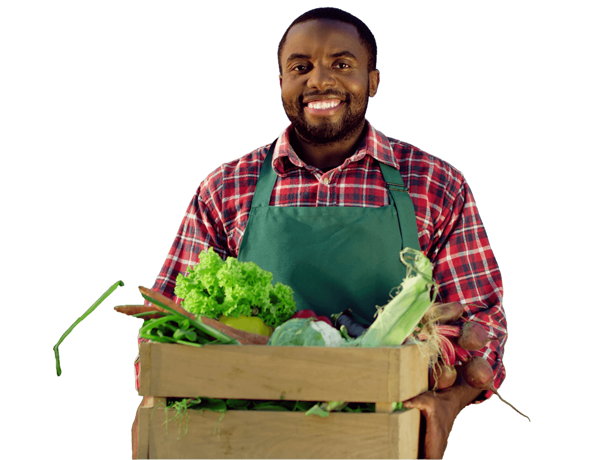 Agriculture translation services Portrait of the young African American happy and good looking male farmer standing in the green field
