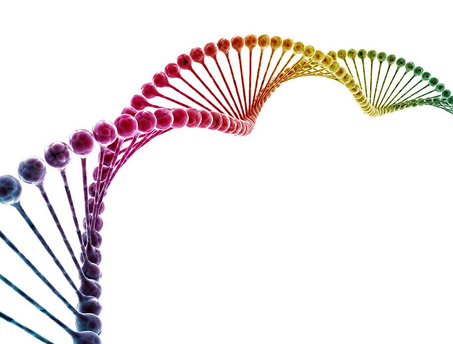 Chinese medical translation company symbolized by a DNA multi color