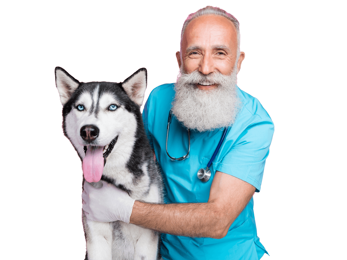 Veterinary translation services UK doctor posing with a dog